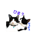 ねねとこにゃ（個別スタンプ：23）