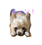 毎日みるく（個別スタンプ：5）
