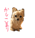 毎日みるく（個別スタンプ：6）