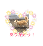 毎日みるく（個別スタンプ：7）