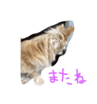 毎日みるく（個別スタンプ：8）