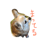 毎日みるく（個別スタンプ：9）