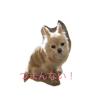 毎日みるく（個別スタンプ：13）