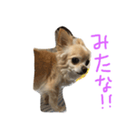 毎日みるく（個別スタンプ：14）