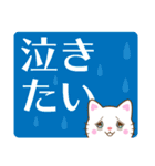 白猫チャオの気持ち、でか文字スタンプ（個別スタンプ：24）