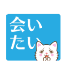 白猫チャオの気持ち、でか文字スタンプ（個別スタンプ：25）