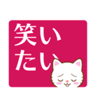 白猫チャオの気持ち、でか文字スタンプ（個別スタンプ：27）