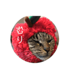 ねこ時々トレーニング（個別スタンプ：25）