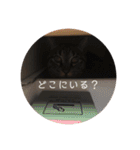 ねこ時々トレーニング（個別スタンプ：34）