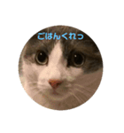 ケトくん3（個別スタンプ：5）