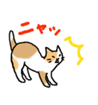 ネコさんたち。（個別スタンプ：6）