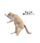 ちくわくんスタンプ③！（個別スタンプ：12）
