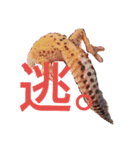 レオパのこむぎ（個別スタンプ：4）