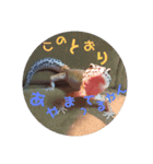 レオパのこむぎ（個別スタンプ：15）