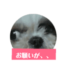 muachan（個別スタンプ：3）