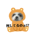 muachan（個別スタンプ：8）