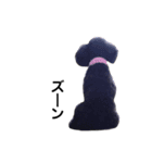 黒トイプードルのあんこ2（個別スタンプ：10）