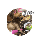 ちわっくすのちろる2（個別スタンプ：6）