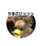 ちわっくすのちろる2（個別スタンプ：10）