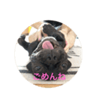 フレブルのビビ第1弾（個別スタンプ：1）