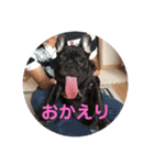 フレブルのビビ第1弾（個別スタンプ：7）
