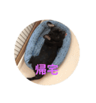 フレブルのビビ第1弾（個別スタンプ：11）