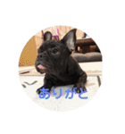 フレブルのビビ第1弾（個別スタンプ：15）