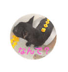 フレブルのビビ第1弾（個別スタンプ：20）