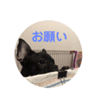 フレブルのビビ第1弾（個別スタンプ：23）
