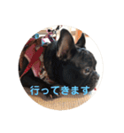 フレブルのビビ第1弾（個別スタンプ：25）
