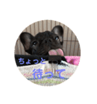 フレブルのビビ第1弾（個別スタンプ：28）