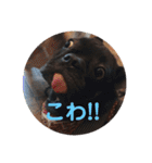 フレブルのビビ第1弾（個別スタンプ：30）