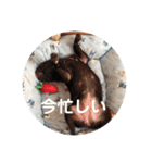 フレブルのビビ第1弾（個別スタンプ：35）