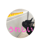フレブルのビビ第1弾（個別スタンプ：36）