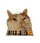 バンビ＆ジュラ 日常スタンプ（個別スタンプ：1）