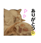 バンビ＆ジュラ 日常スタンプ（個別スタンプ：3）