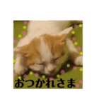 バンビ＆ジュラ 日常スタンプ（個別スタンプ：8）