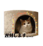 バンビ＆ジュラ 日常スタンプ（個別スタンプ：9）