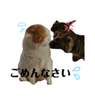 バンビ＆ジュラ 日常スタンプ（個別スタンプ：13）