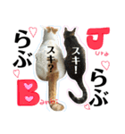 バンビ＆ジュラ 日常スタンプ（個別スタンプ：16）