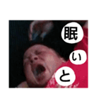 高来めん（個別スタンプ：1）