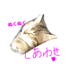 まめちゃり 3（個別スタンプ：2）