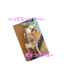 まめちゃり 3（個別スタンプ：6）