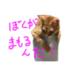 まめちゃり 3（個別スタンプ：8）