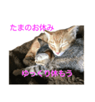 まめちゃり 3（個別スタンプ：15）