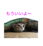 まめちゃり 3（個別スタンプ：21）