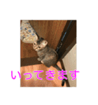 まめちゃり 3（個別スタンプ：26）