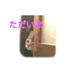 まめちゃり 3（個別スタンプ：28）