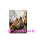 まめちゃり 3（個別スタンプ：34）