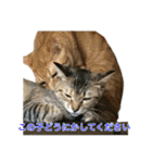 まめちゃり 3（個別スタンプ：38）